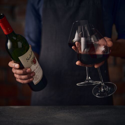 The correct way to serve wine Vinotèque